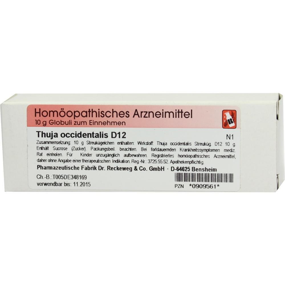 Eine Packung hom&ouml;opathische Globuli mit dem Namen "Thuja occidentalis D12".