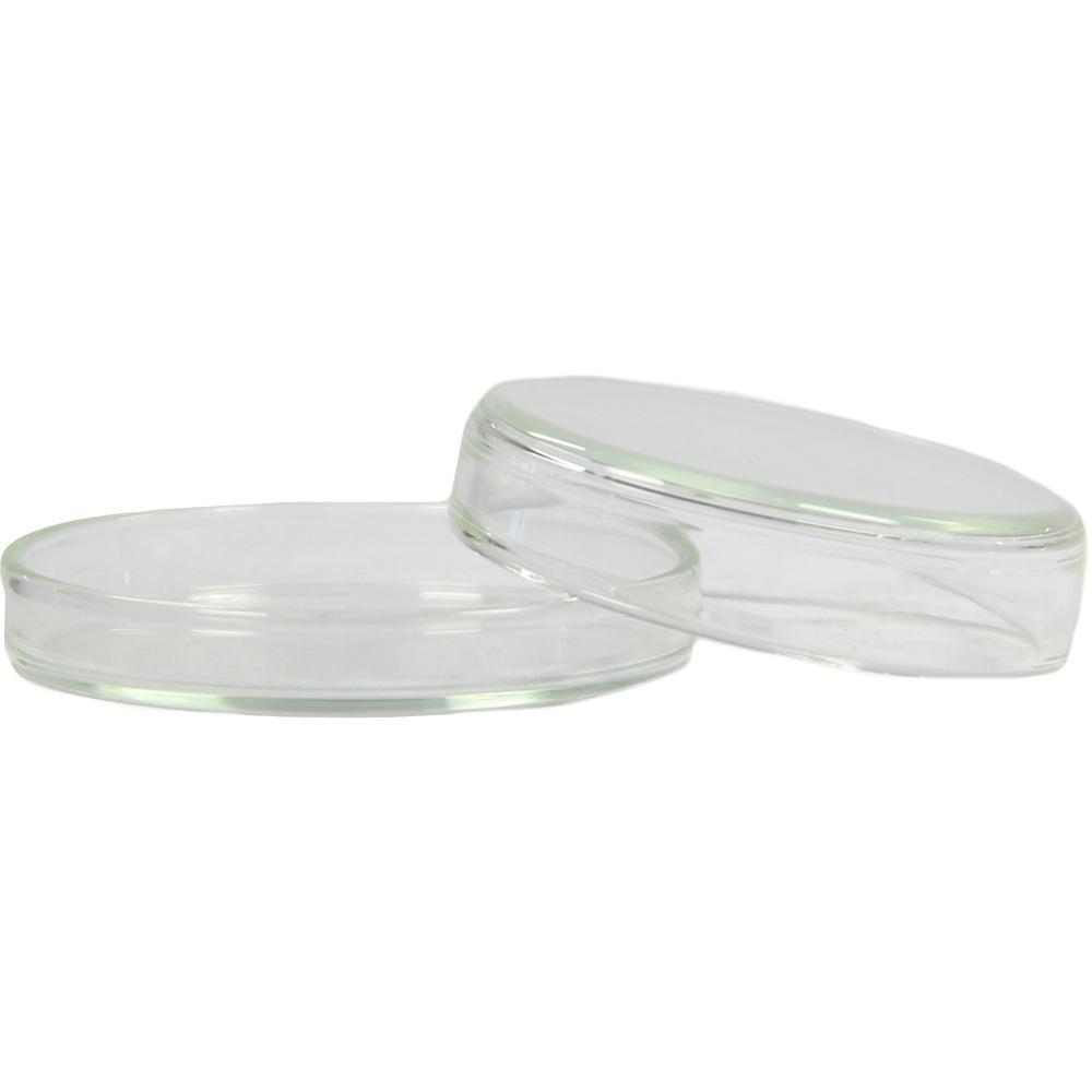 Zwei transparente Petrischalen liegen nebeneinander.