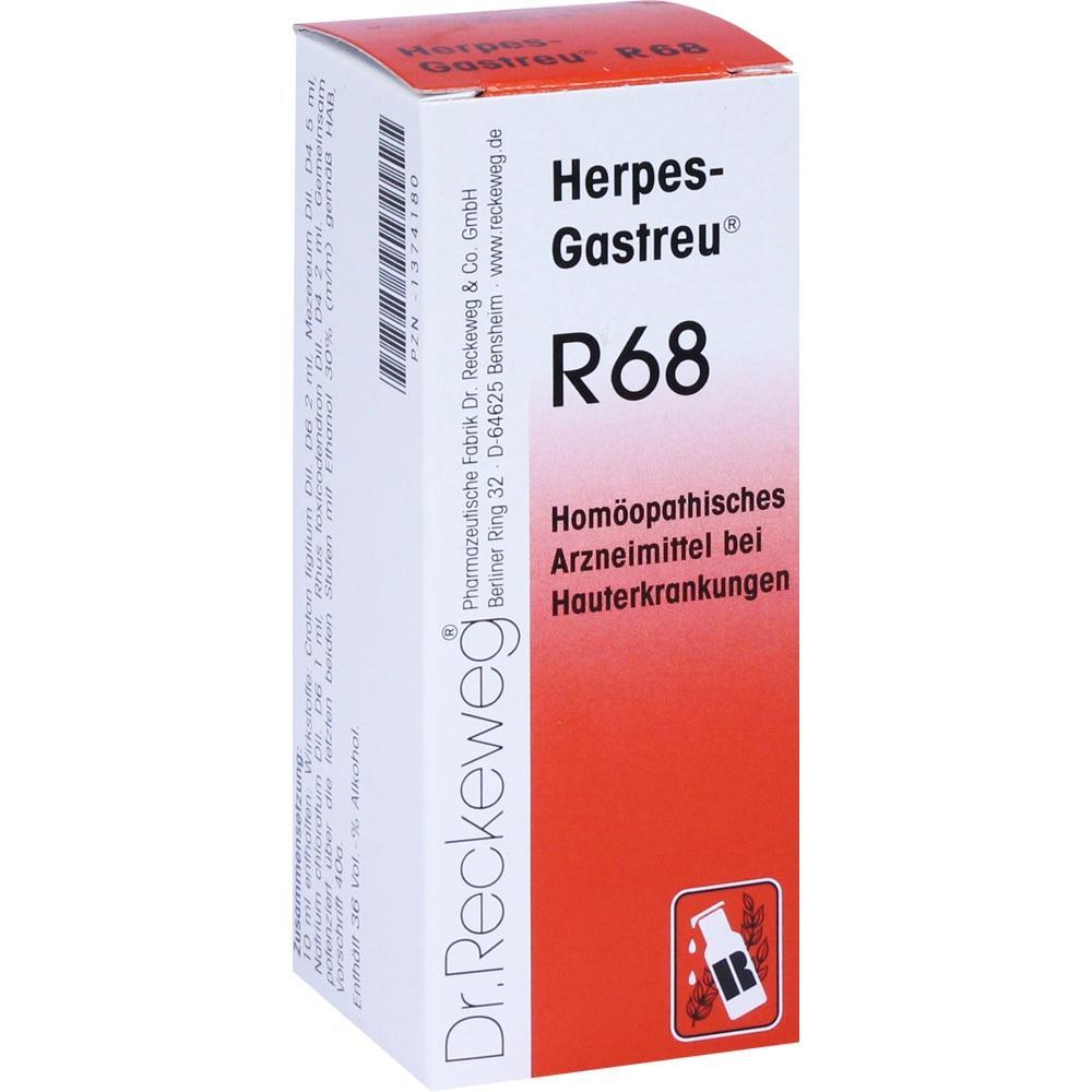 Eine Packung hom&ouml;opathisches Medikament gegen Hautkrankheiten von Dr. Reckeweg.