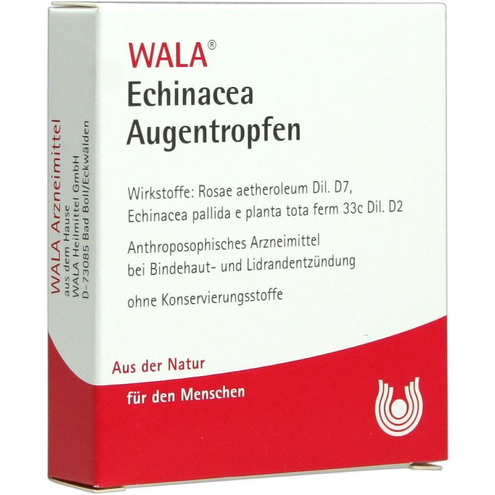 Eine Packung mit Echinacea Augentropfen von WALA ohne Konservierungsstoffe.