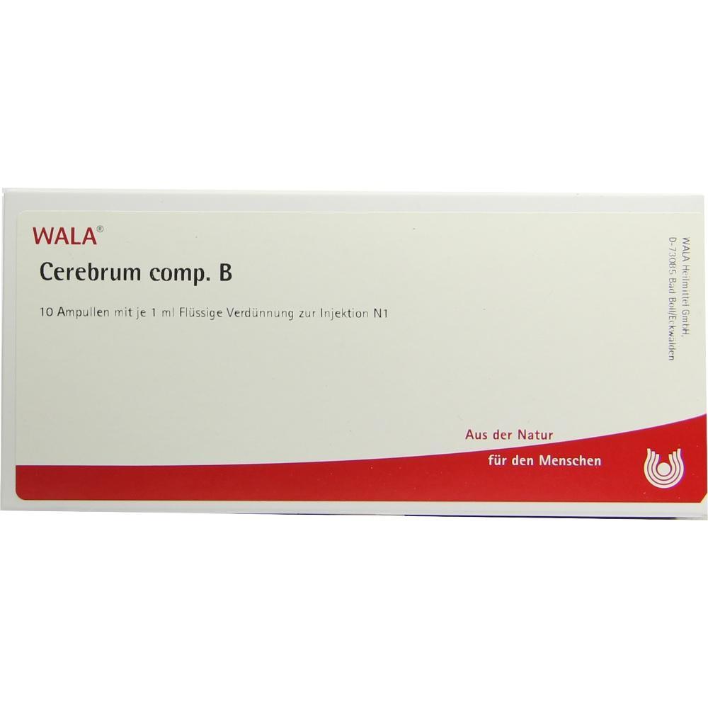 Eine Verpackung von WALA mit 10 Ampullen zur Injektion.